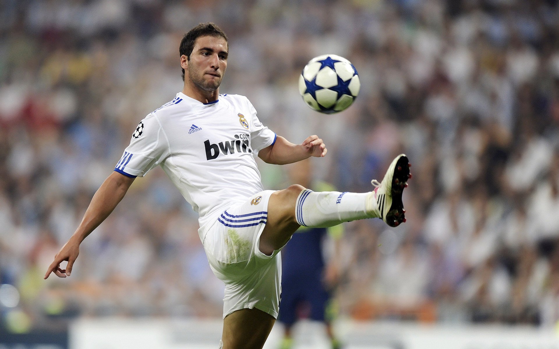 单届参赛中止步第15名，无更近参赛记录