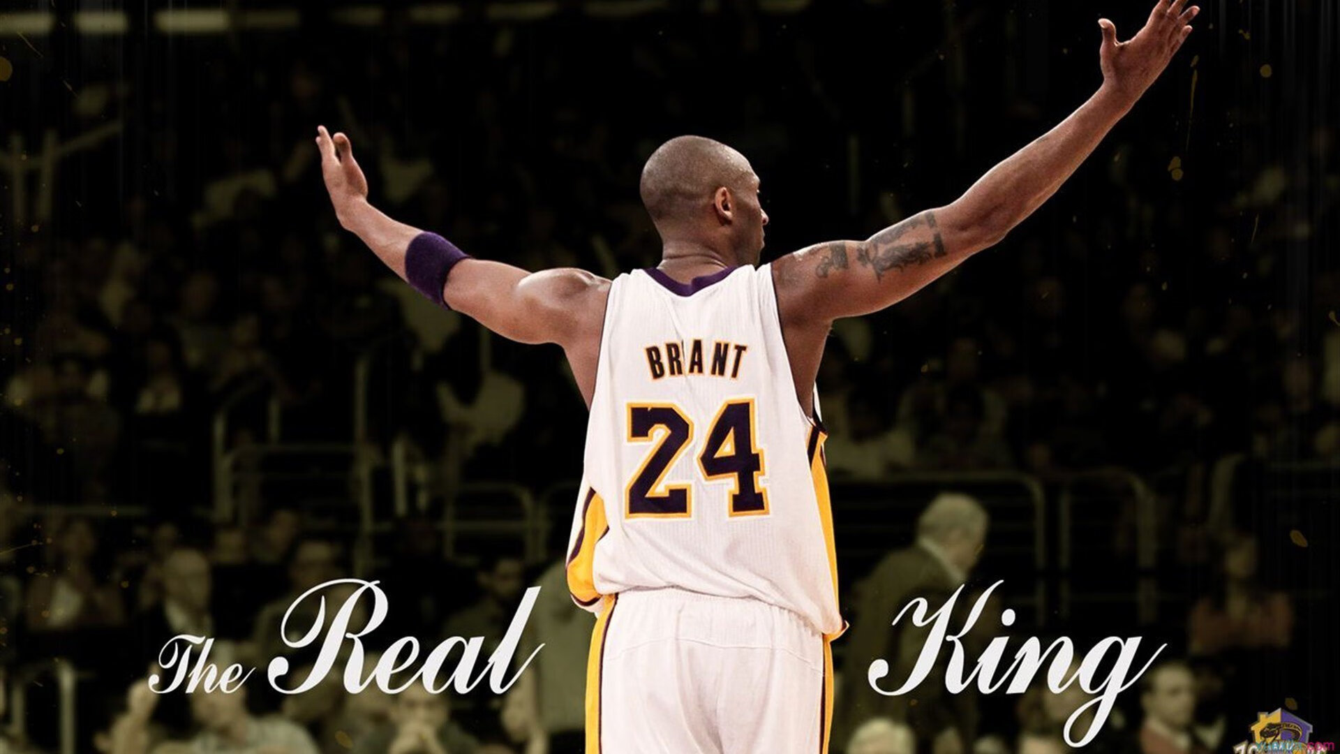 “武汉马拉松：全球马拉松爱好者齐聚赛场”