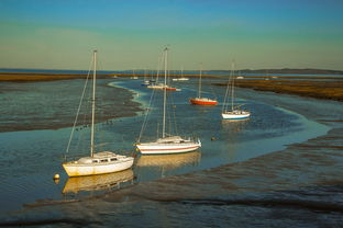 九游登录中心-兴隆湖上演“国际艇战”，多国精英争锋